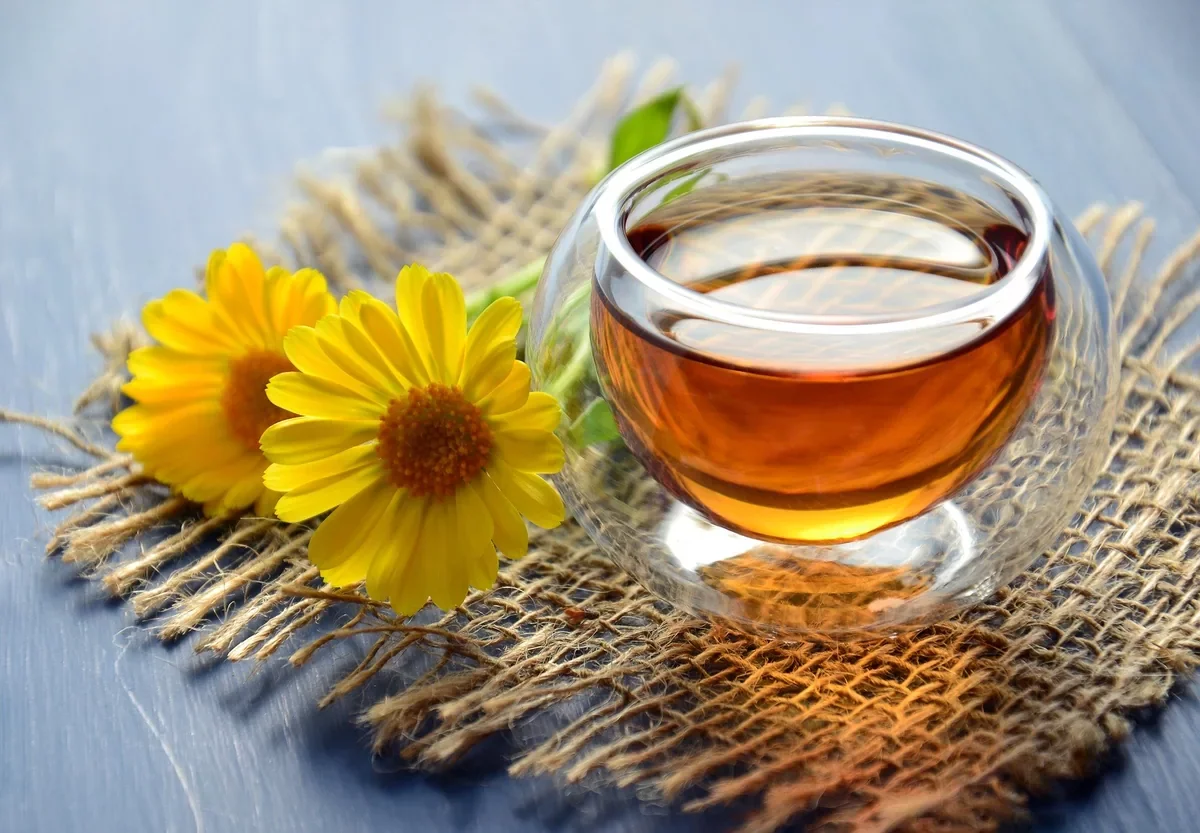 Les vertus de la fleur de Calendula